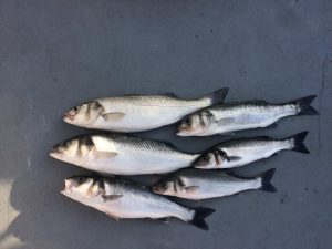 bass