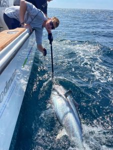 beigger tuna
