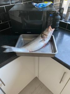 dinner