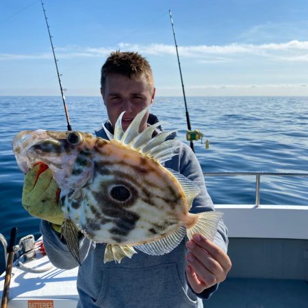 JOHN DORY 1 JOHN DORY 1